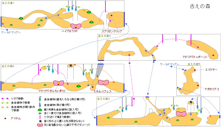 古の森の地図